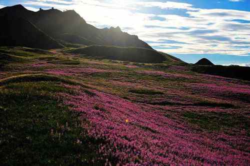 �c(di��n)���鿴Ԕ��