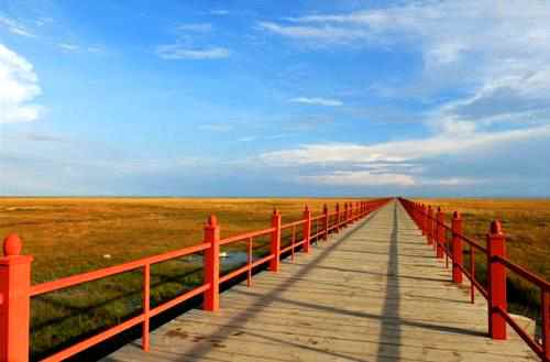 �c(di��n)���鿴Ԕ��